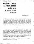 S00190007_009.pdf.jpg