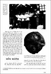 S01510001_037.pdf.jpg
