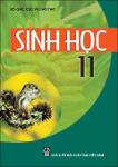 sinhoc11_nguyenthanhdat_2013-a.pdf.jpg