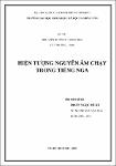 hientuongnguyenamchaytrong.pdf.jpg