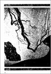 S01510001_027.pdf.jpg
