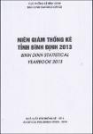 binhdinh2013.pdf.jpg