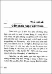 gommenngocvietnam.pdf.jpg