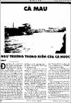 Ca Mau ngu truong trong diem.pdf.jpg