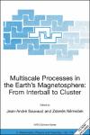 multiscaleprocessesintheearthsmagnetosphere.pdf.jpg