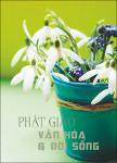 Luan ve nguyen hinh Bach Cot Tinh_Nguyen Thanh Loc.pdf.jpg