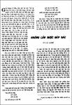 Nhung lan.pdf.jpg